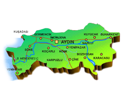 Aydın