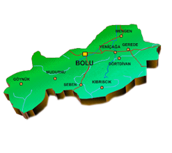 Bolu
