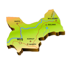 Muş