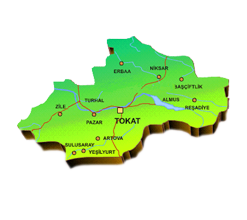 Tokat