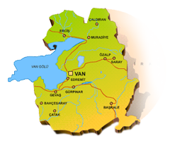 Van